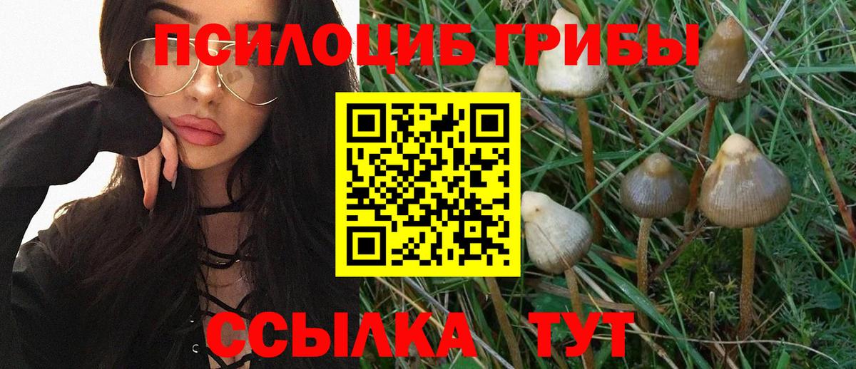 Галлюциногенные грибы Magic Shrooms  купить наркотики сайты  Алушта  Вход с VPN 