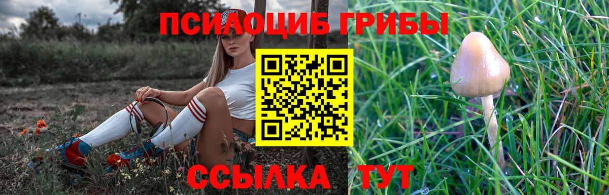 Псилоцибиновые грибы мухоморы Алушта